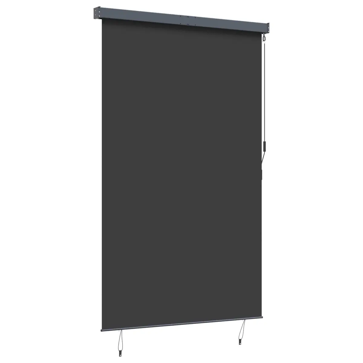 Outdoor Roller Blind 160x250 cm Anthracite Hand Crank Breathable Polyester Shade