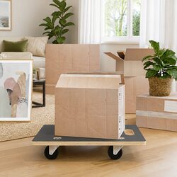 Convenient Rectangular Transport Trolley for Easy Moving