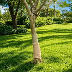 Elevate Your Space with a Natural Jute Roll