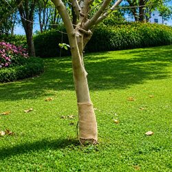 Elevate Your Space with a Natural Jute Roll 0.25x15m