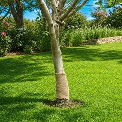 Jute Roll 0.25x25m - Enhance Your Home Decor