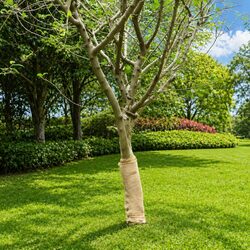 Elevate Your Decor with a 0.5x5 m Natural Jute Roll