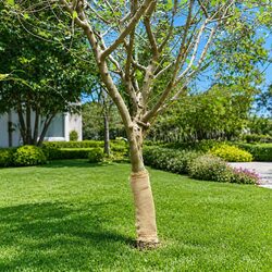 Enhance Your Space with Natural Jute Roll 0.5x10 m