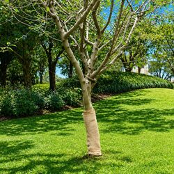 Eco-Friendly Jute Roll 0.5m x 50m for Home and Craft Use