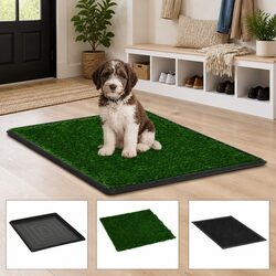 Indoor Potty Mat for Dogs with Turf and Tray