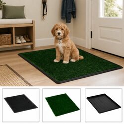 Enhance Your Home with Our Pet Toilet Training Pad 76x51cm