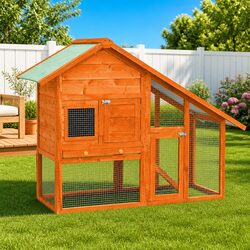 Elevate Your Pet’s Living Space with a 2-Tier Hutch