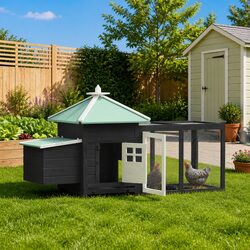 Stylish Chicken Coop with Spacious Run and Nesting Box