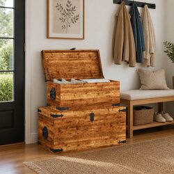 Stylish Storage Chest Duo for Home Organization