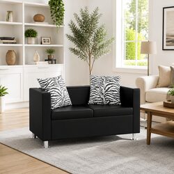 Stylish 2-Seater Sofa in Black for Modern Spaces