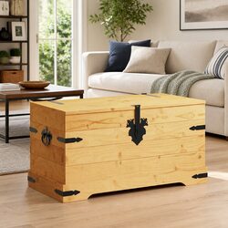 Enhance Your Space with a Corona-Style Storage Chest