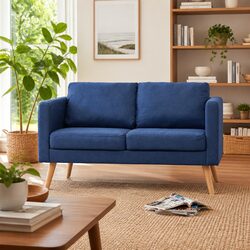 Elevate Your Space with a Comfortable 2-Seater Blue Sofa