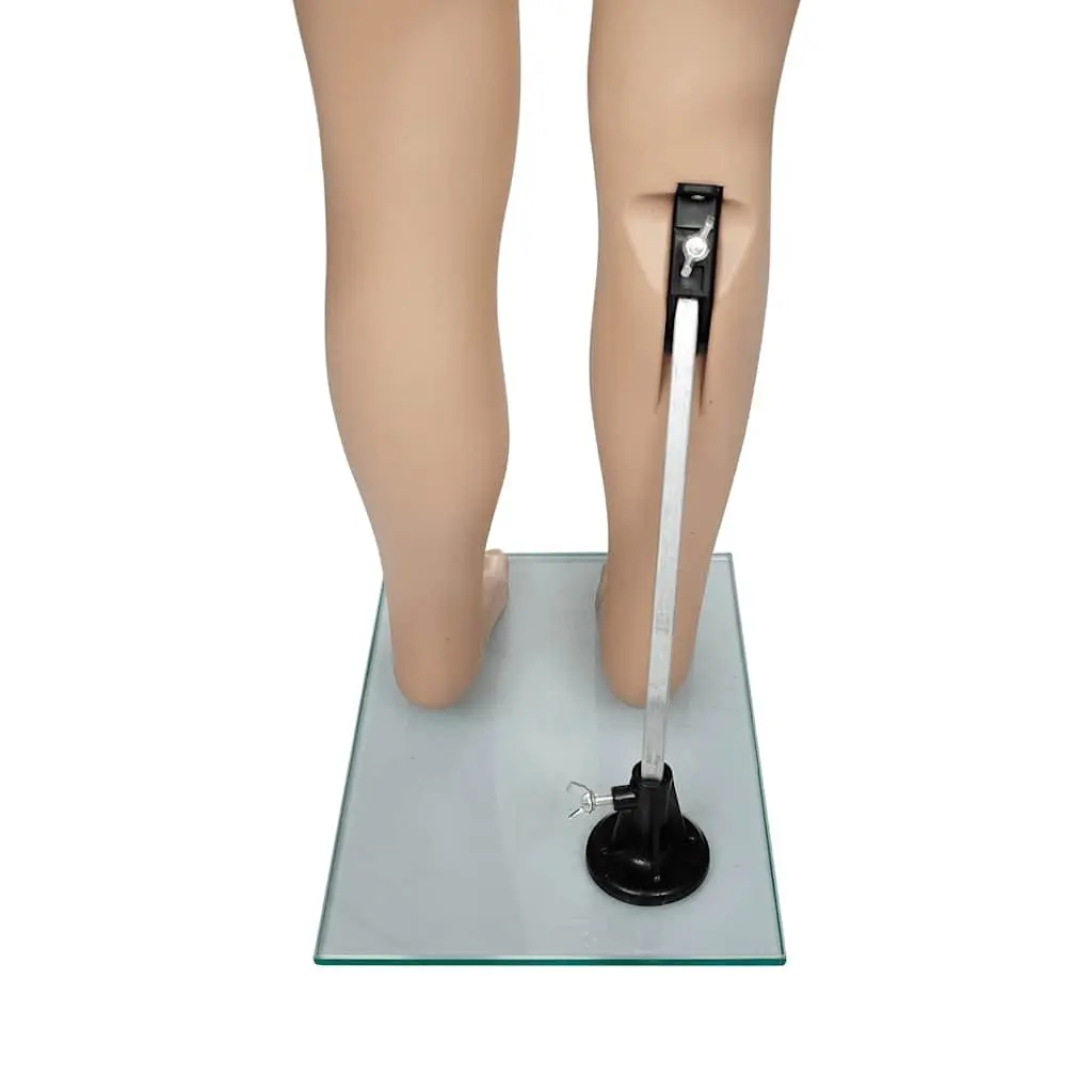 Child Mannequin Display Torso Beige Removable Arms Rotating Head Retail Shop