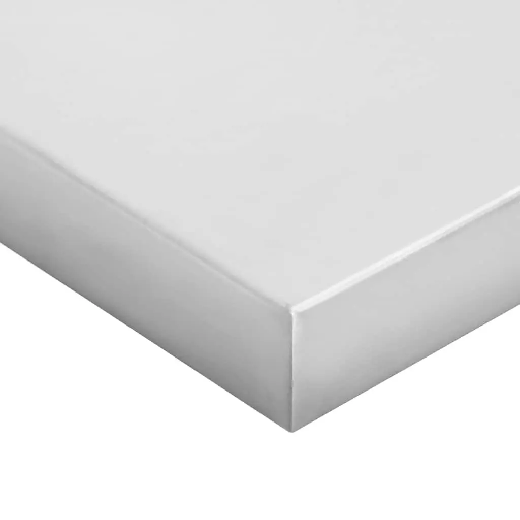 Wall Shelves 100x30 cm Silver Floating Storage Shelving 2 Piece