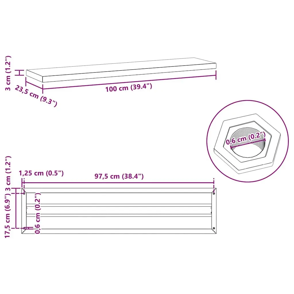 Wall Shelves 100x23.5 cm Stainless Steel Floating Storage Display 2 Piece