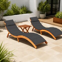 Enhance Your Garden with this 2-Piece Sun Loungers Set