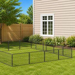 Enhance Your Yard with a 60m² Outdoor Dog Kennel