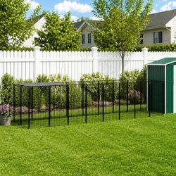 Spacious Black Dog Enclosure for Safe Outdoor Play