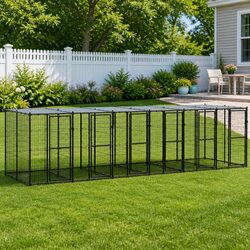 Enhance Your Outdoor Space with a Spacious Dog Kennel