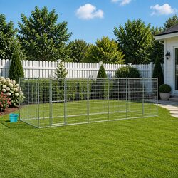 Spacious Dog Kennel Enclosure for Outdoor Play