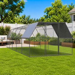 Enhance Your Outdoor Space with This Chicken Aviary