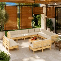 Enhance Your Outdoor Space with 13 Piece Lounge Set