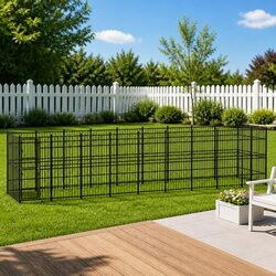 Stylish Outdoor Dog Kennel for Exercise and Play