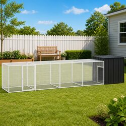 Anthracite Chicken Run: A Safe Space for Your Pets