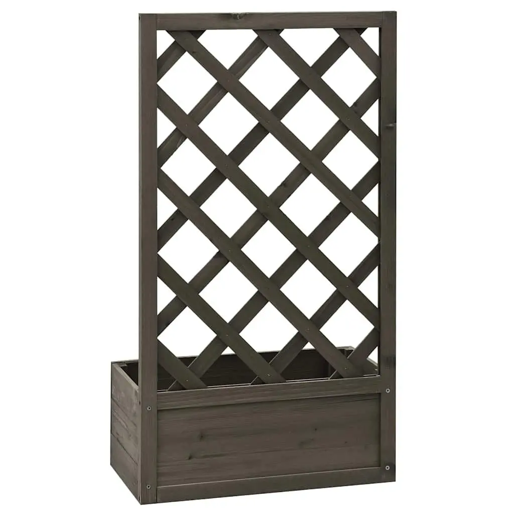 Garden Trellis Planter 50x25x90cm Grey Integrated Support for Climbing Plants