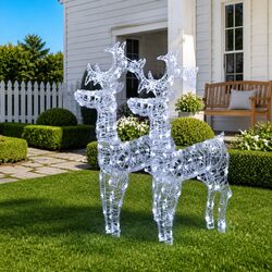 Standing Reindeer Christmas Decorations 2pc LED Light Garden Outdoor Display