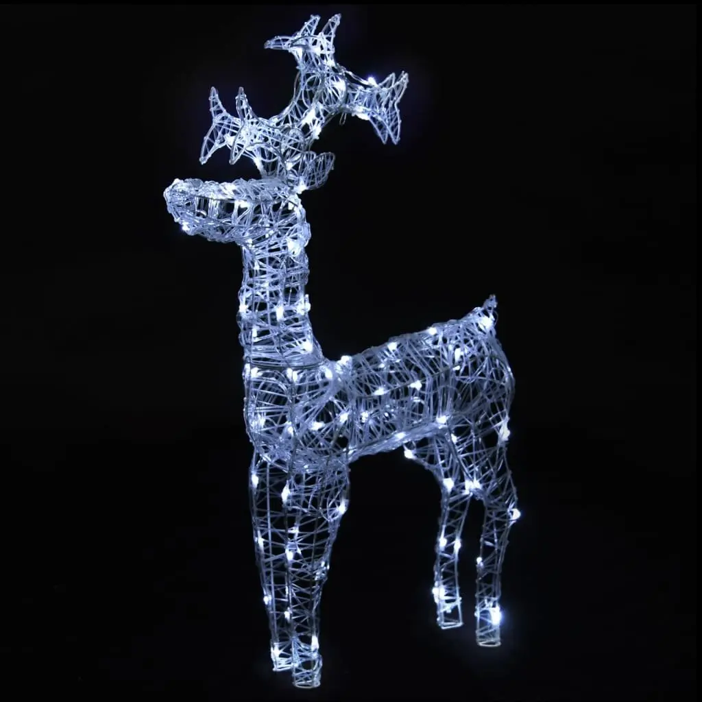 Standing Reindeer Christmas Decorations 2pc LED Light Acrylic Outdoor Display