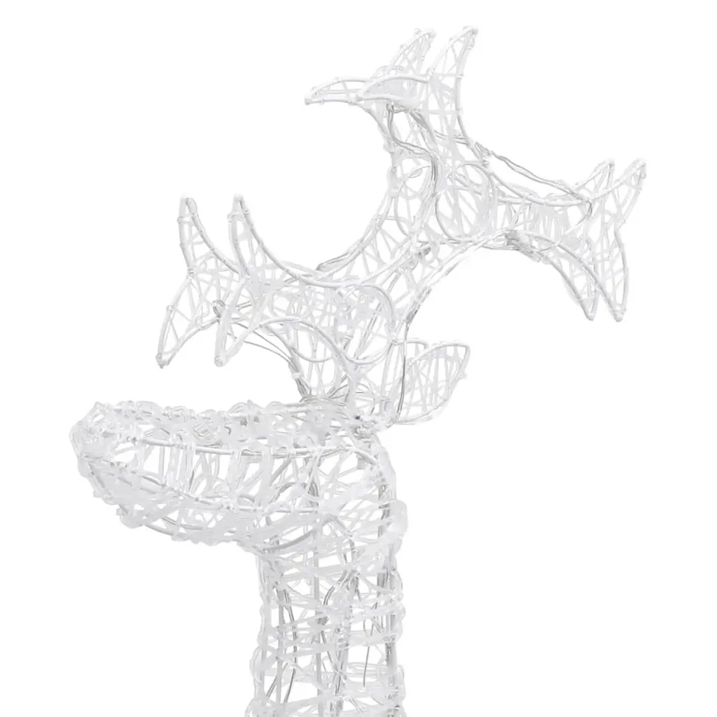 Standing Reindeer Christmas Decorations 2pc LED Light Acrylic Outdoor Display