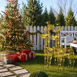 Reindeer Christmas Decorations 2 pcs Acrylic Outdoor Garden Warm White LED
