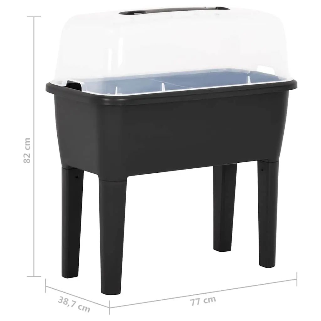 Raised Garden Bed Planter Box 77x38.7x82cm UV Frost Resistant with Transparent Lid for Indoor Outdoor Plant Growth
