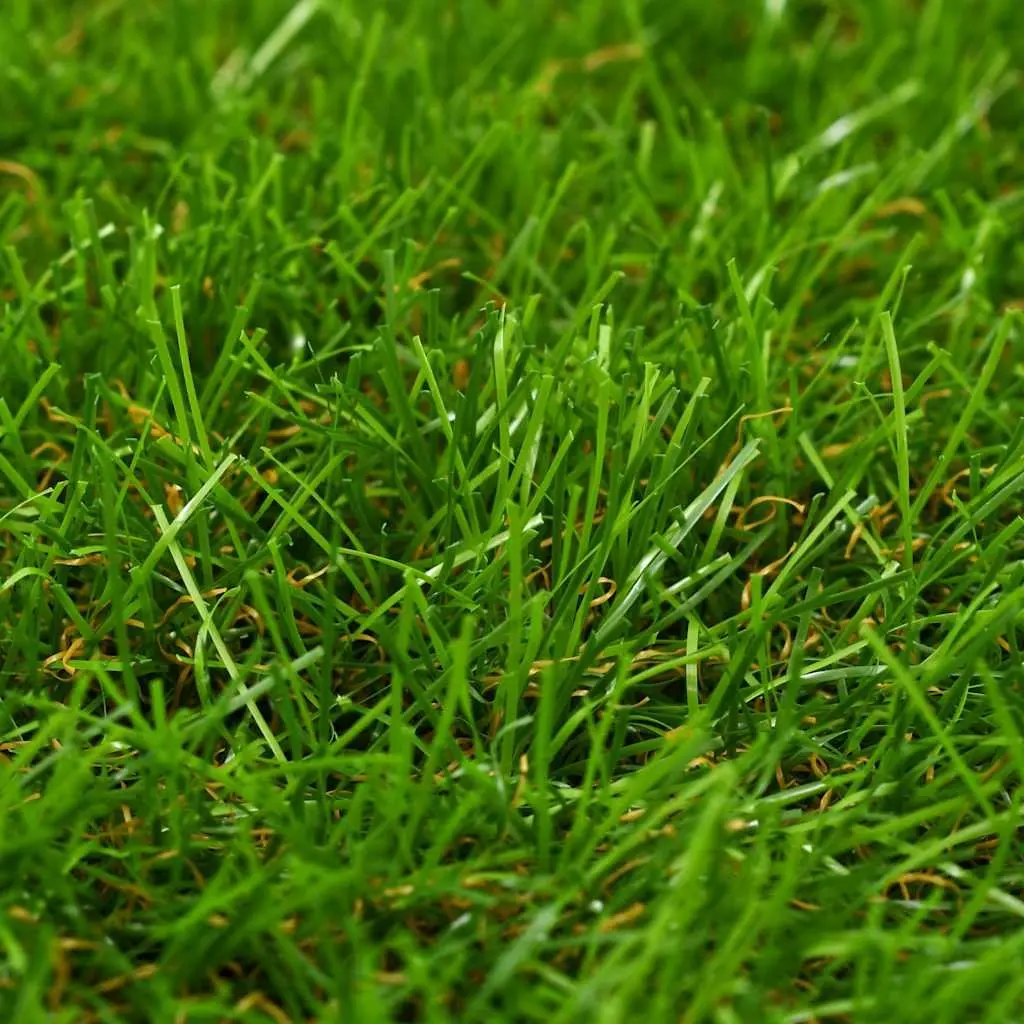 Artificial Grass 1x10m 30mm Pile Height UV-Resistant Synthetic Lawn Turf Garden Patio