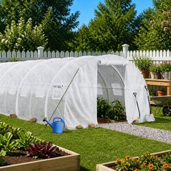 White 12x3x2m Greenhouse - Enhance Your Garden Space