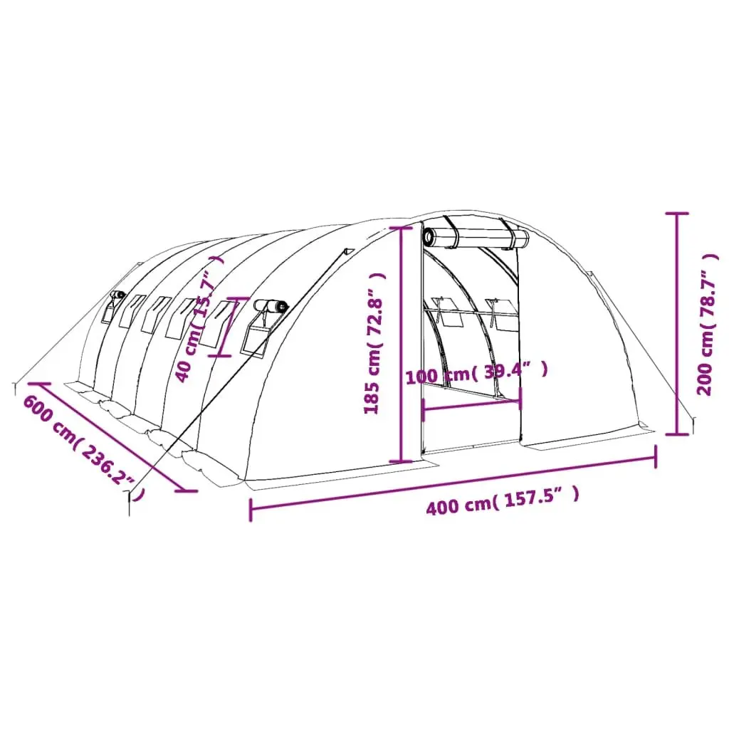 Greenhouse 6x4m Steel Frame PE Cover Roll-up Door