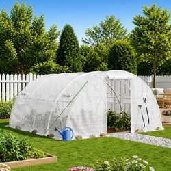 Elevate Your Gardening with a 4x4x2m Greenhouse