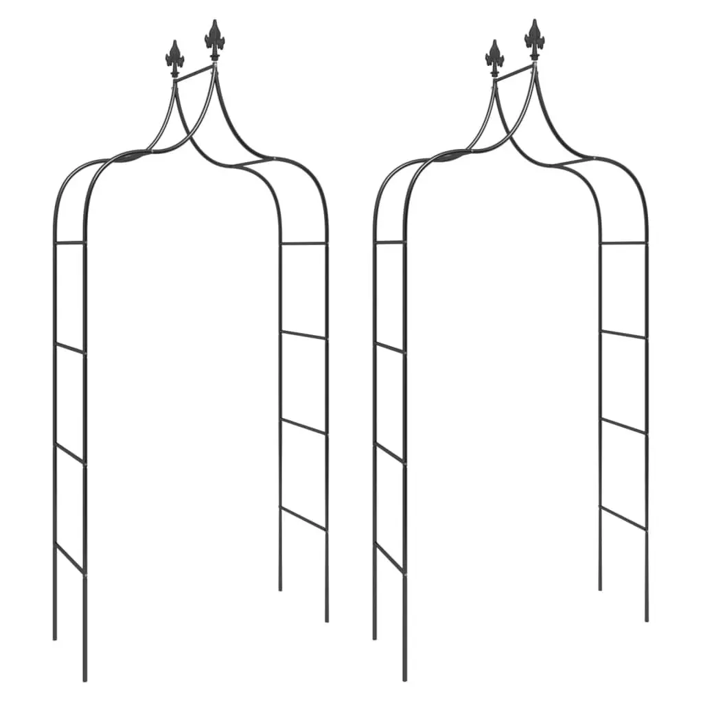 Black Steel Garden Arch Set of 2 for Outdoor Climbing Plant Support and Decorative Entrance