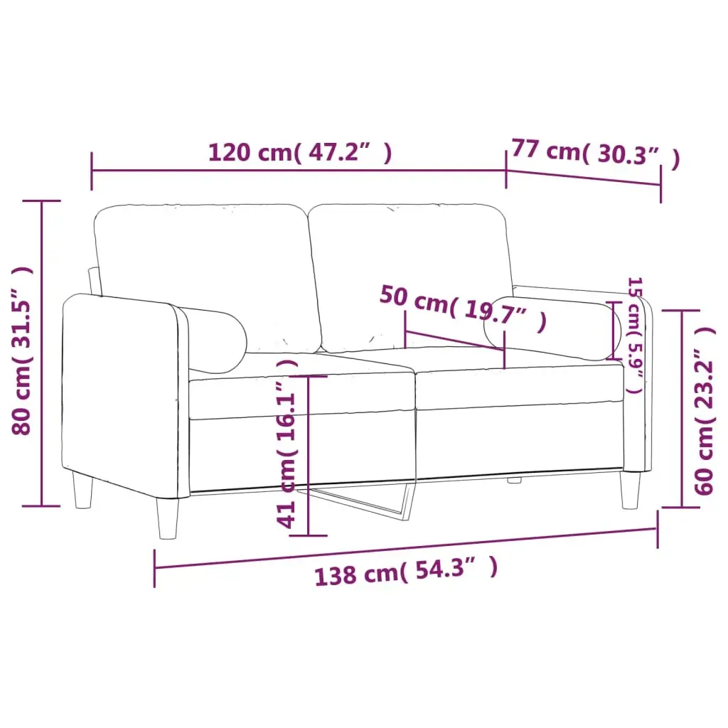 2-Seater Sofa Grey Velvet Modern Living Room Lounge Couch with Throw Pillows