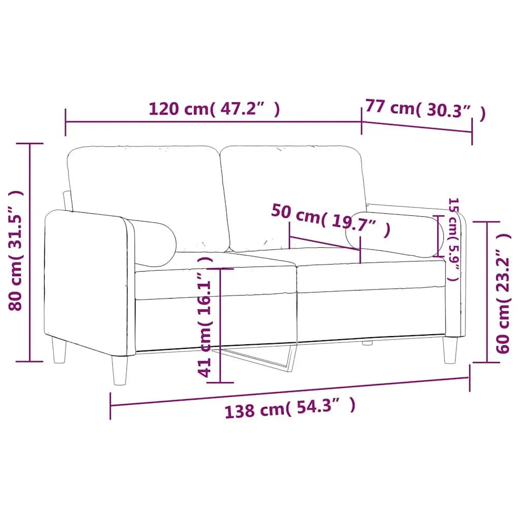 2-Seater Sofa 120cm Black Velvet Upholstery Modern Lounge Couch with Throw Pillows