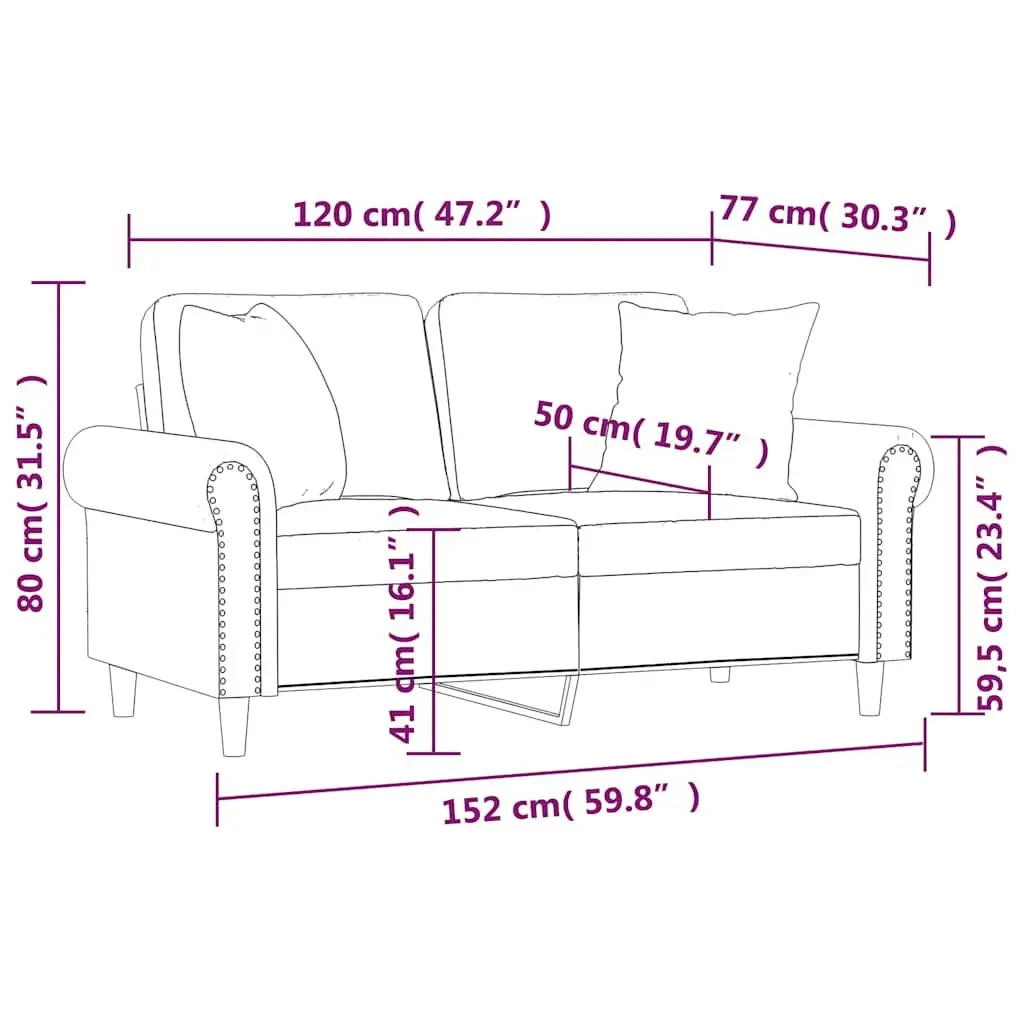 2-Seater Sofa 120cm Black Velvet Modern Lounge Couch with Throw Pillows