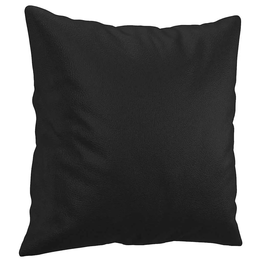 2-Seater Sofa 140cm Black Faux Leather Modern Lounge Couch with Throw Pillows