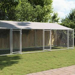 Spacious Outdoor Dog Kennel Run with Roof & Doors