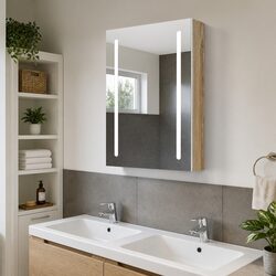 Elevate Your Bathroom with a LED Mirror Cabinet Storage