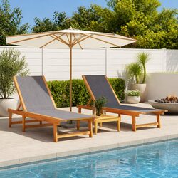 Enhance Your Outdoor Space with 2 pcs Adjustable Sun Loungers