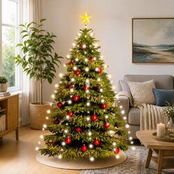 Enhance Your Holiday Space with 210cm LED Net Lights