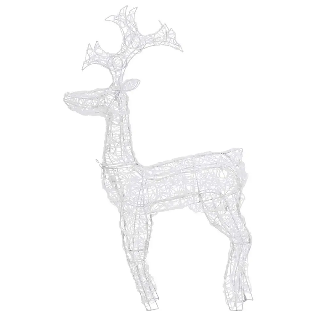 Acrylic Outdoor Christmas Decoration Standing Reindeer with 90 Warm White LED Lights 60x16x100cm