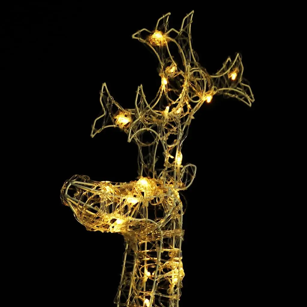 Acrylic Outdoor Christmas Decoration Standing Reindeer with 90 Warm White LED Lights 60x16x100cm