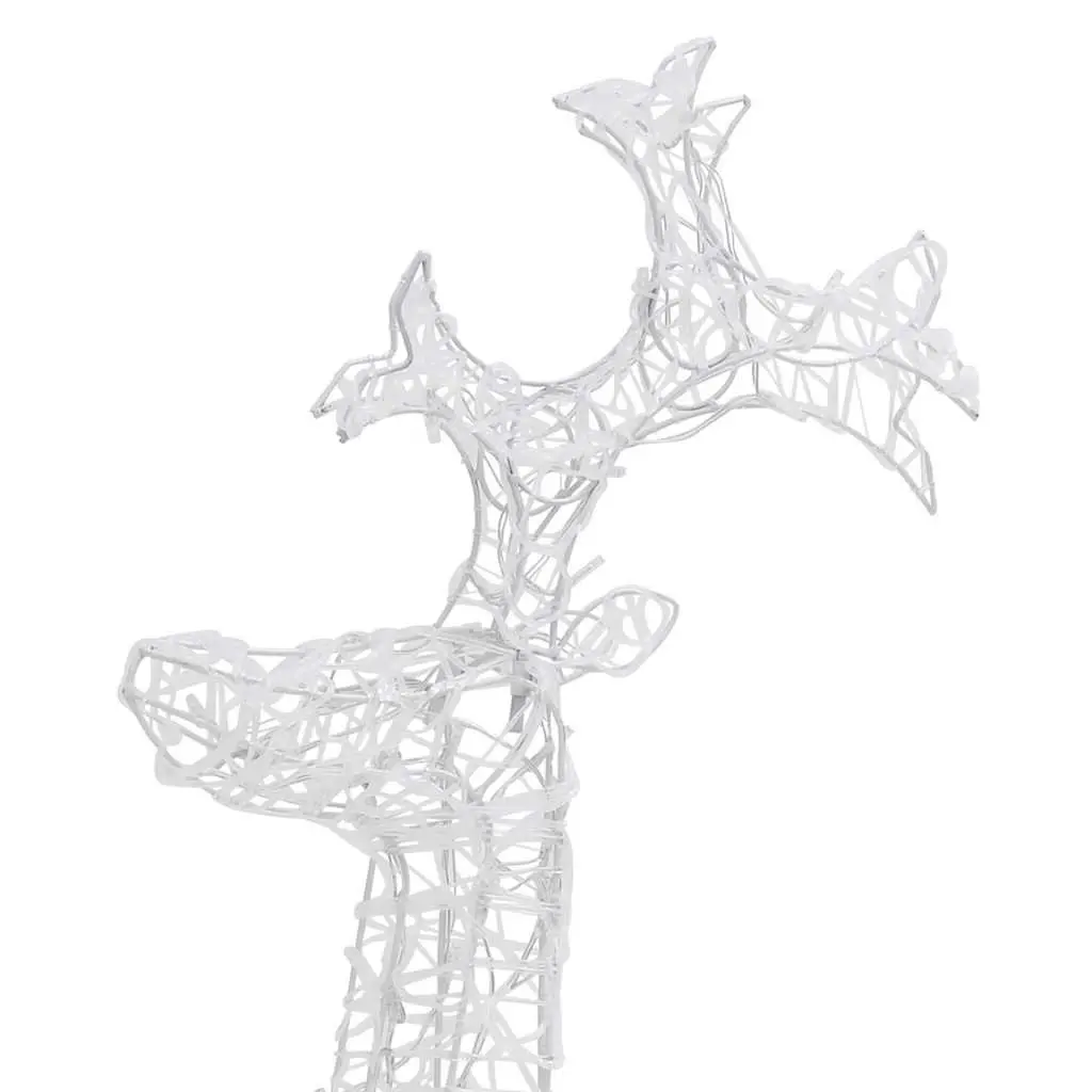 Acrylic Outdoor Christmas Decoration Standing Reindeer with 90 Warm White LED Lights 60x16x100cm